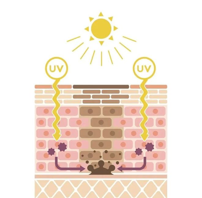 道我在雪场被晒得很曼妙pg电子中国网站不知(图8)